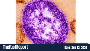 Pennsylvania Woman Dies From Measles Amid State Outbreak